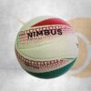 Balón de Voleibol Duxx Nimbus No.5 Tricolor